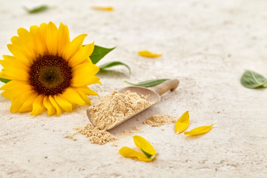 lecithin powder with sunflower on cream background